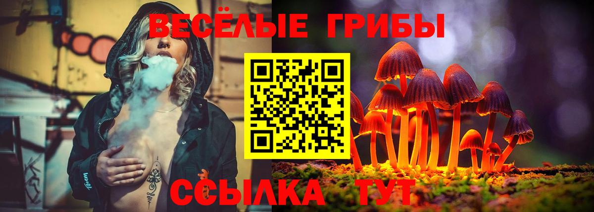 Рубцовск  Галлюциногенные грибы прущие грибы  Вход с VPN 